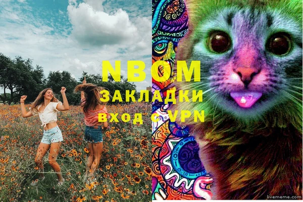 стаф Заволжск