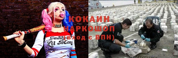 стаф Заволжск