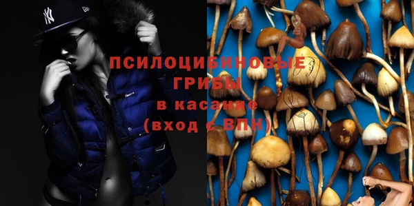 стаф Заволжск