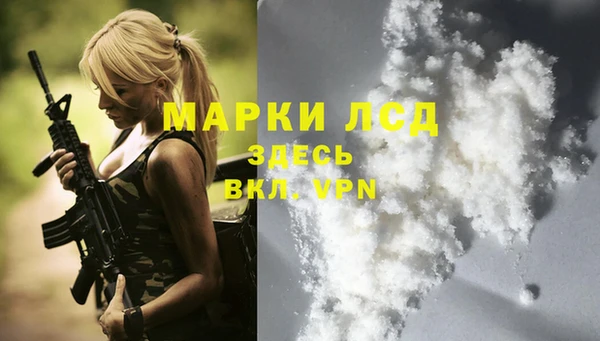 стаф Заволжск