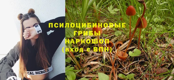 стаф Заволжск