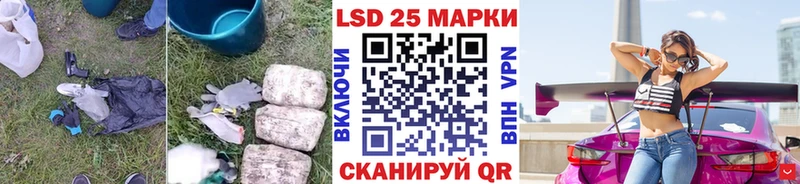 mega как войти  как найти наркотики  Каргополь  Лсд 25 экстази ecstasy 