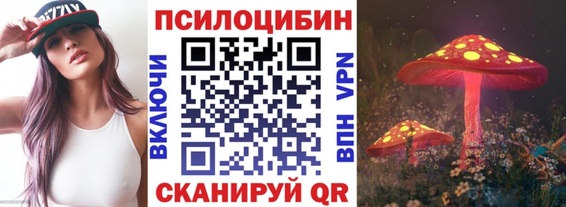 где найти наркотики  MEGA ССЫЛКА  Псилоцибиновые грибы MAGIC MUSHROOMS  Каргополь 